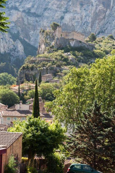 La Figuiere Fontaine De Vaucluse Bed & Breakfast Ngoại thất bức ảnh